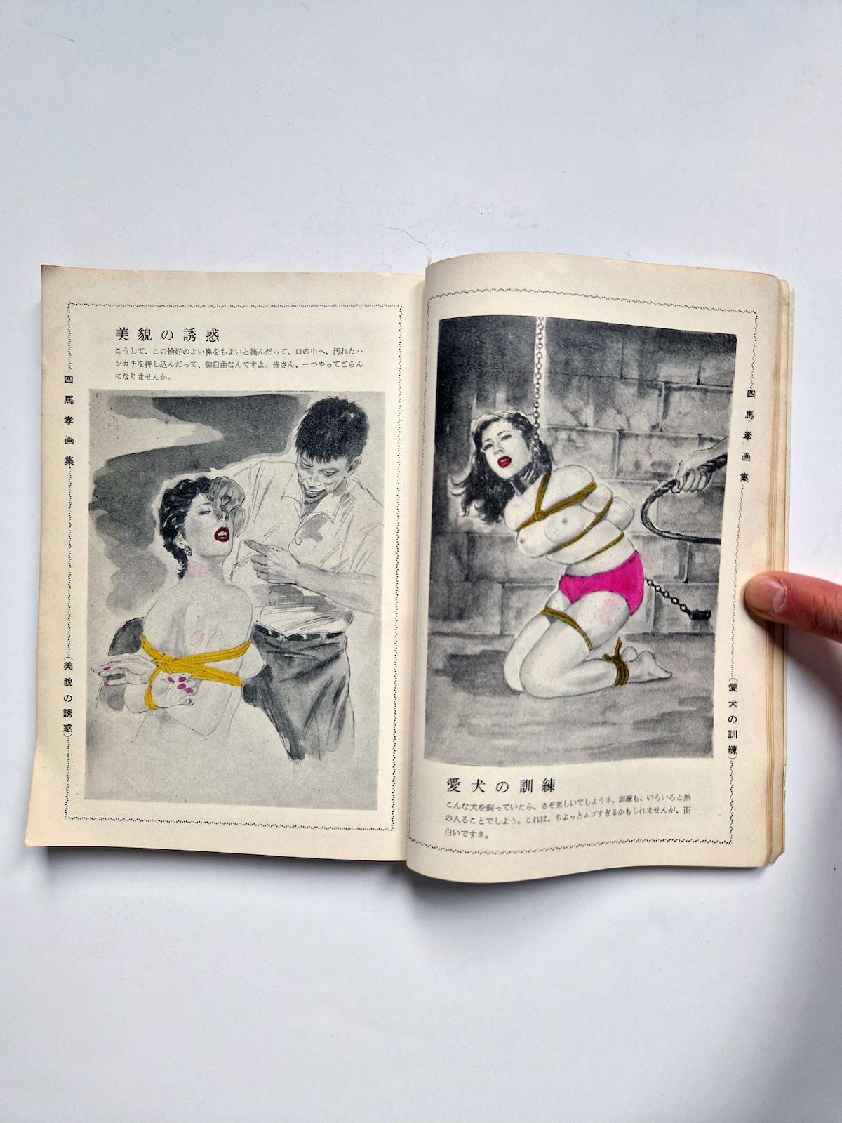 KItan Club 1965 SADO 9 KItan Club 1965 SADO 9