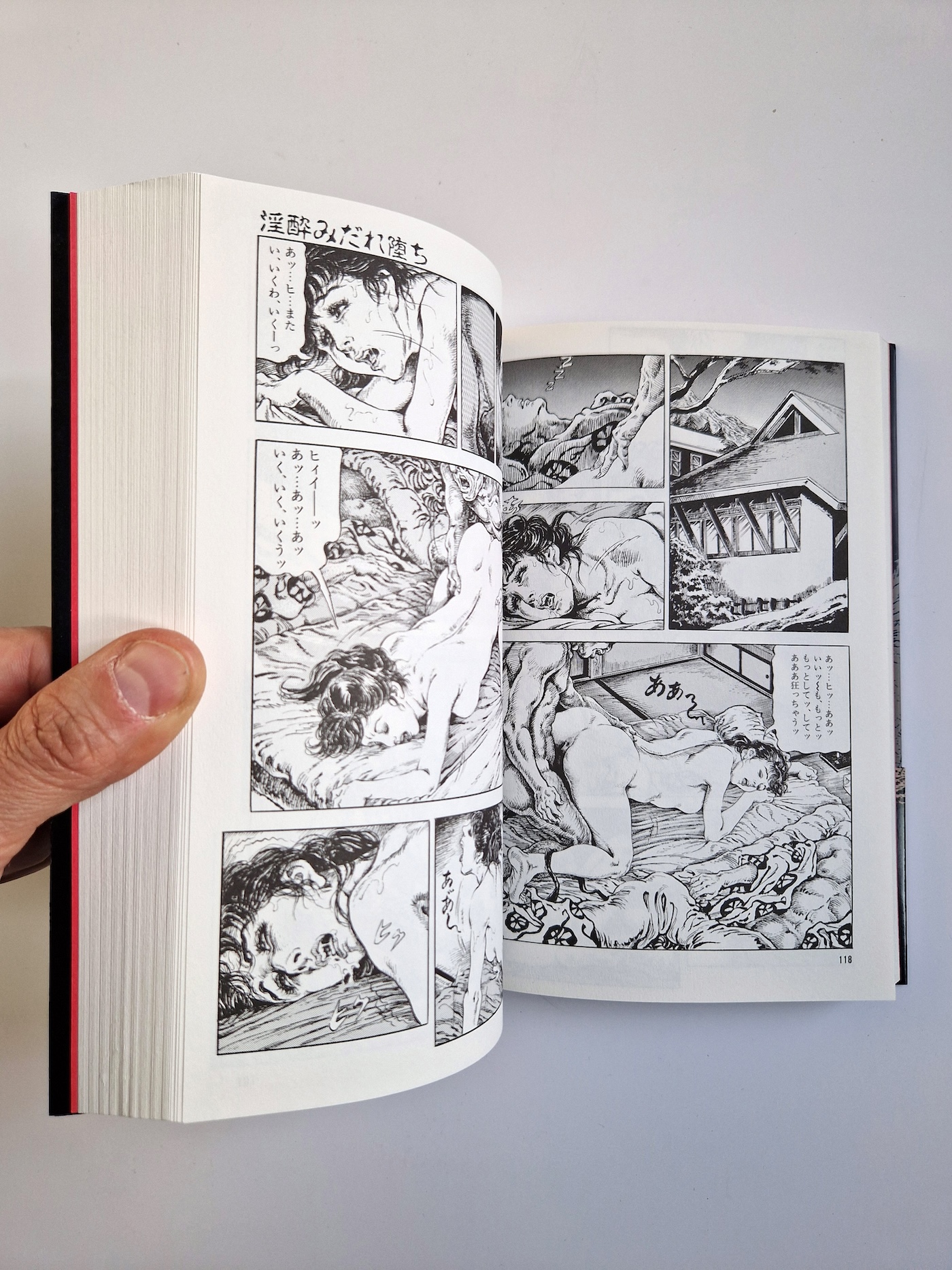 Obscene Wife’s Sex Prison Cult Comics Shiro Kasama 1