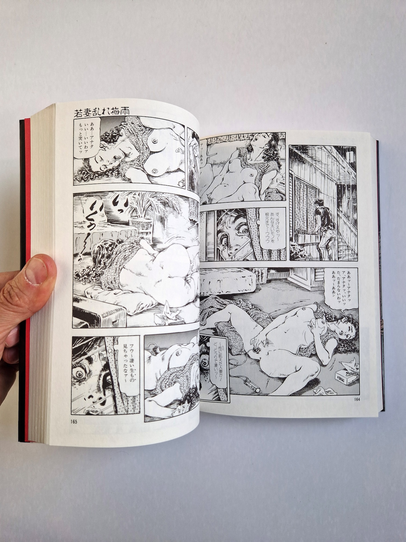 Obscene Wife’s Sex Prison Cult Comics Shiro Kasama 11