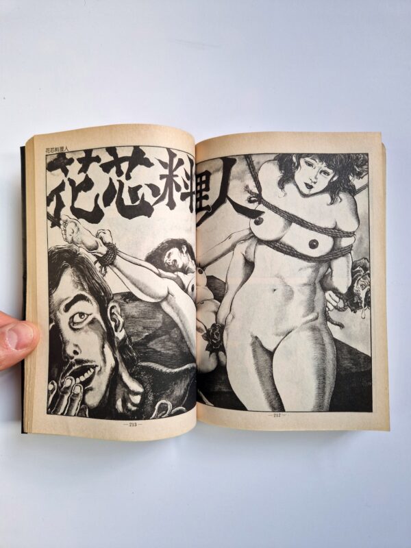 Ritual of Humiliation Joy Comics Shiro Kasama 11