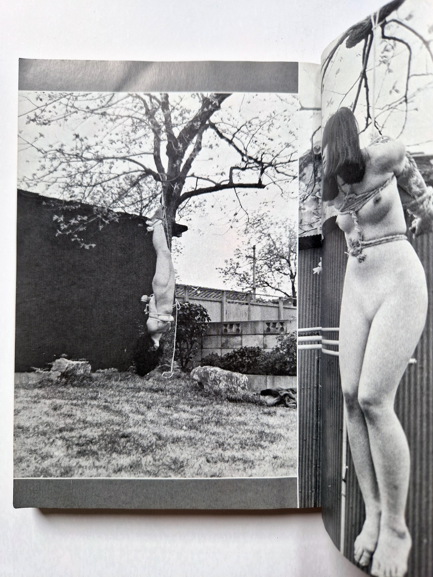 SM king July 1973 10