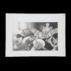SM select Illustration 04 1988 Takahashi Shinegori