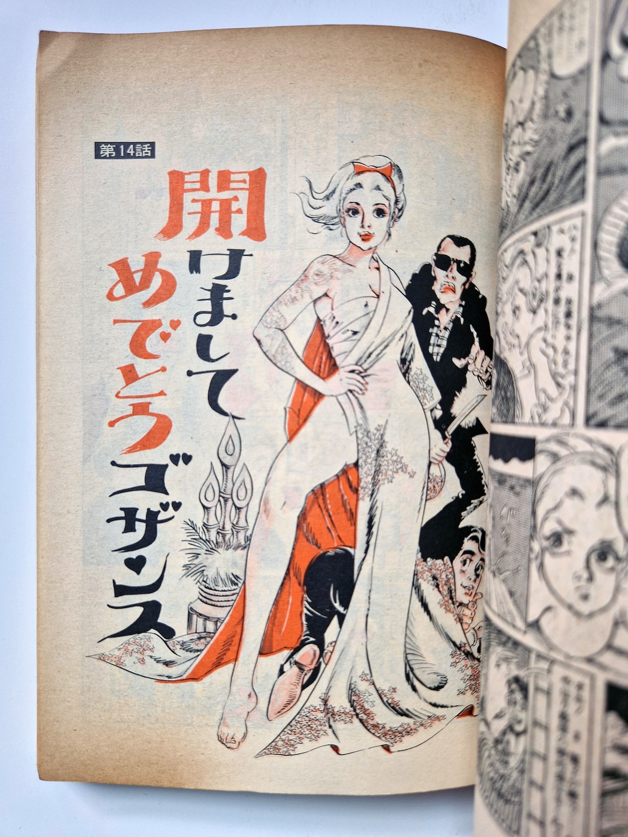 Super Lady Mako in action Shiro Kasama 9