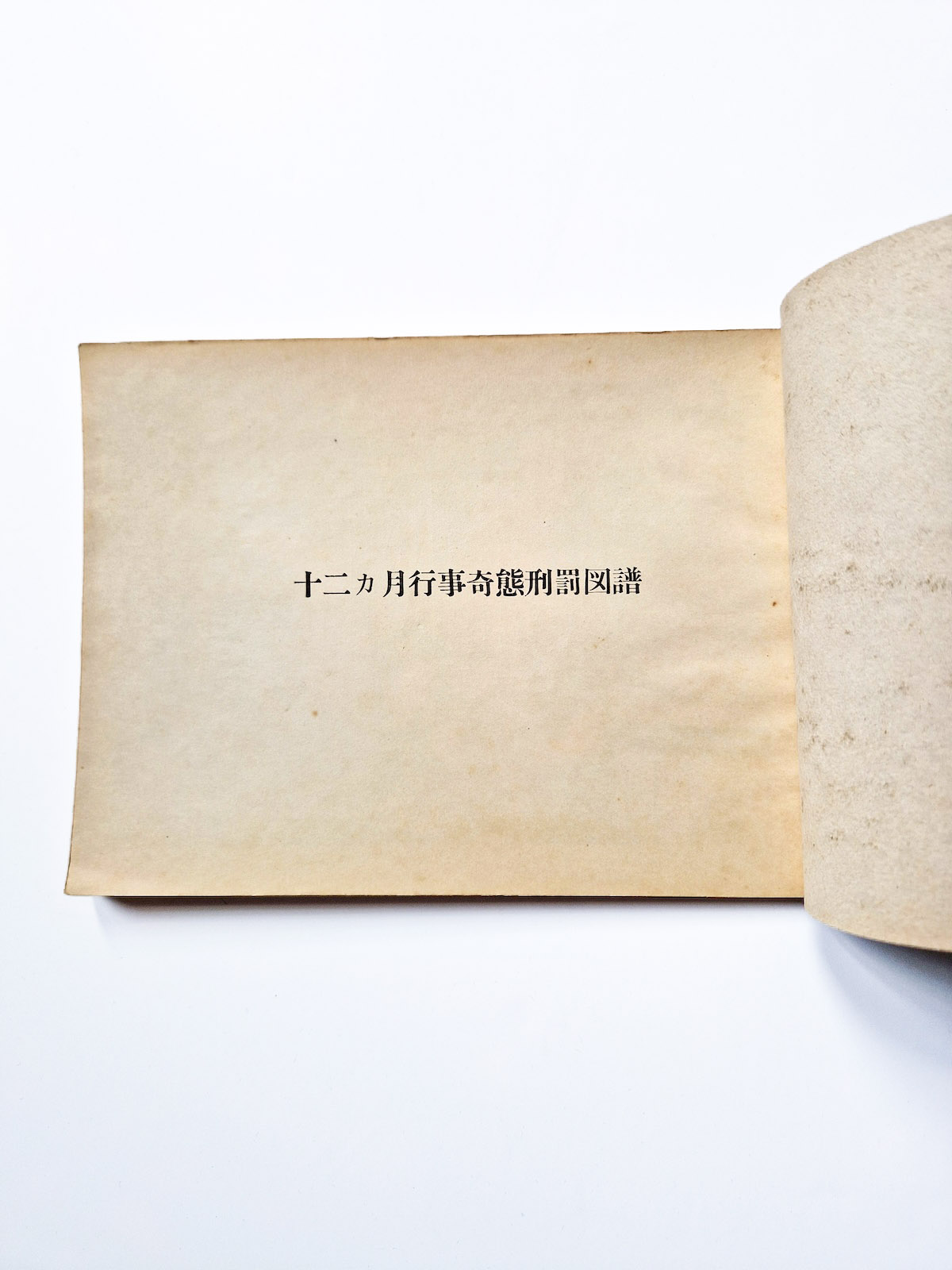 12 months of punishment Itō Seiu def 1 12 months of punishment Itō Seiu def 1