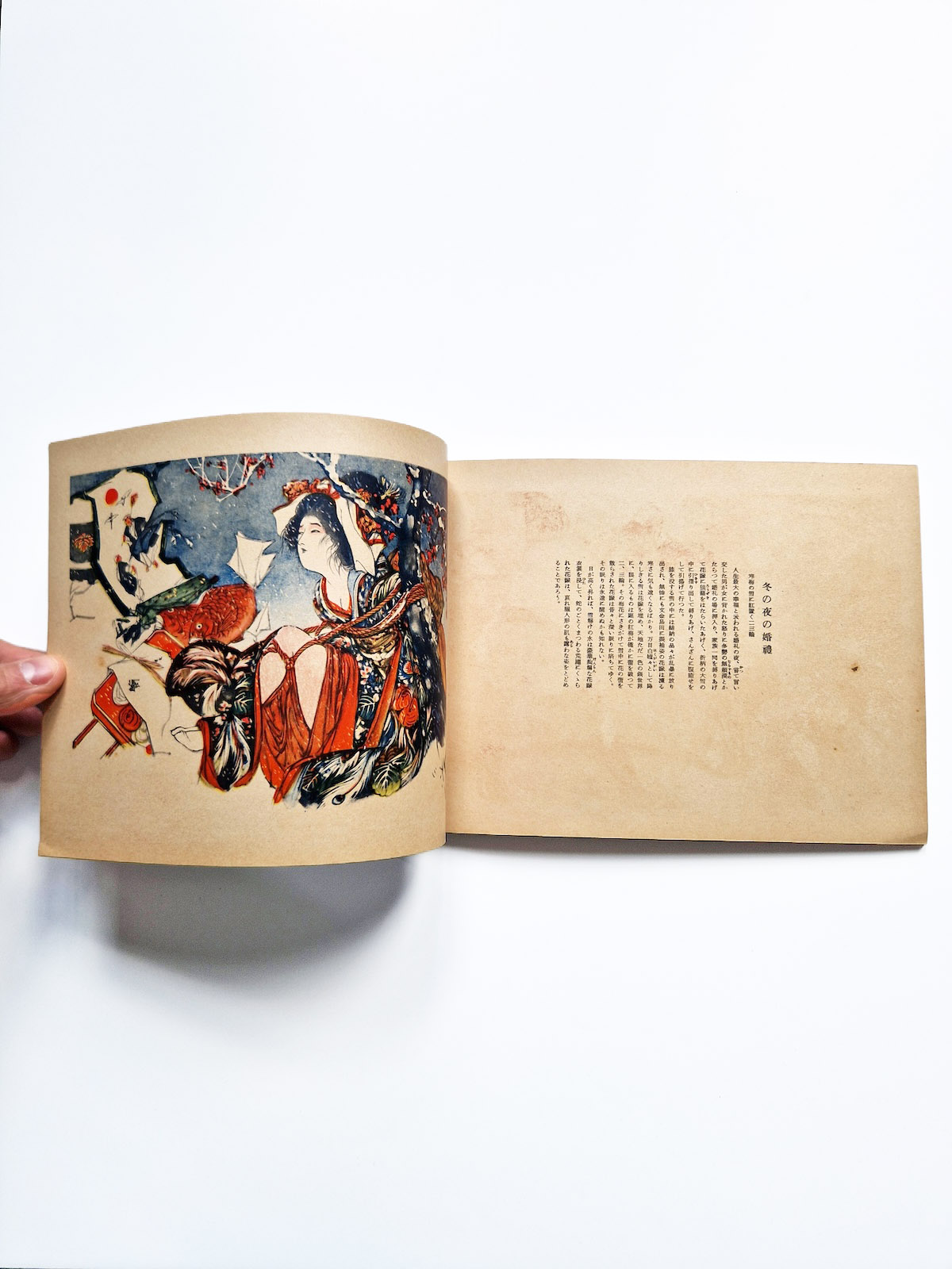 12 months of punishment Itō Seiu def 10 12 months of punishment Itō Seiu def 10