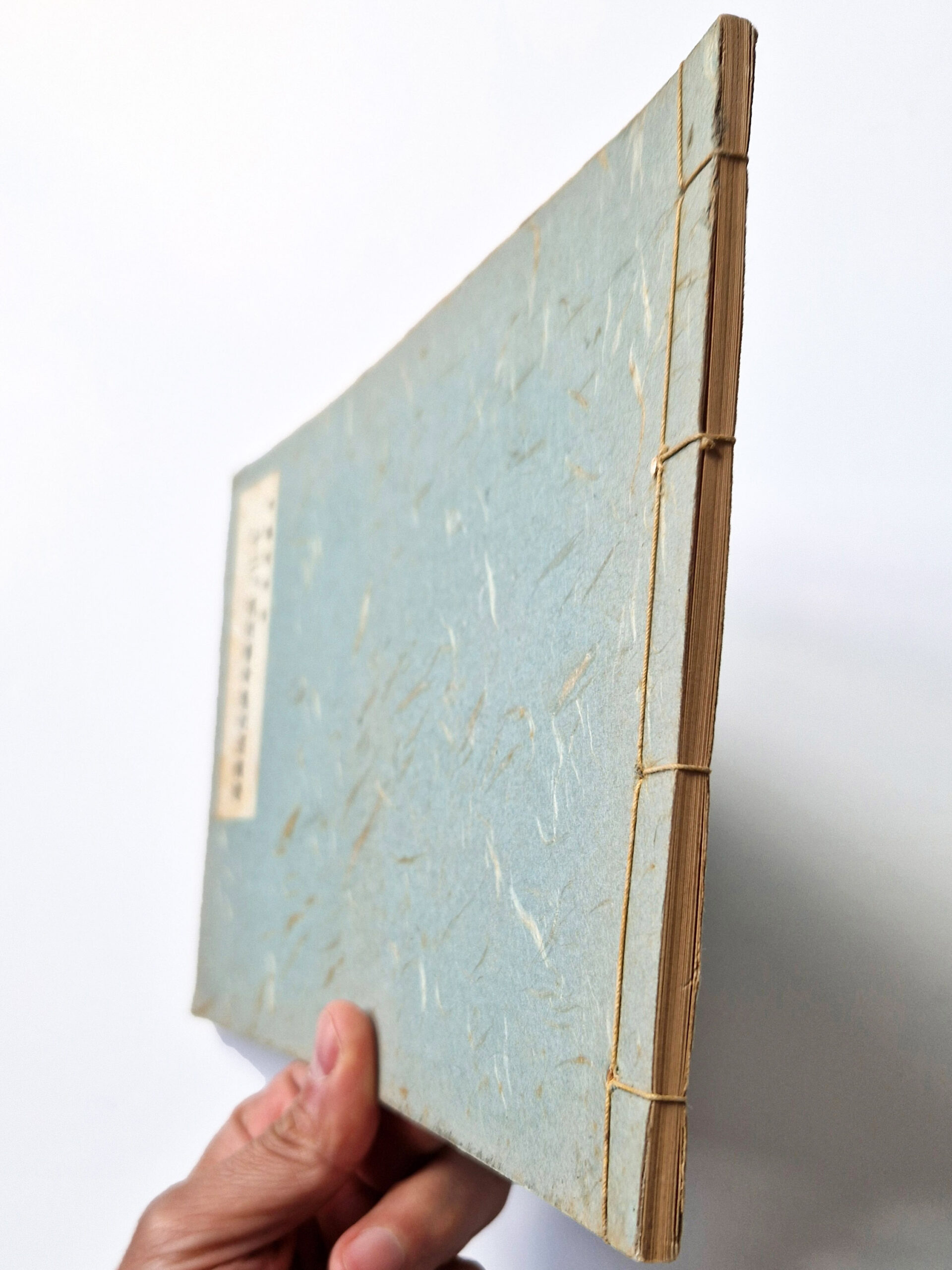 12 months of punishment Itō Seiu def 2 12 months of punishment Itō Seiu def 2