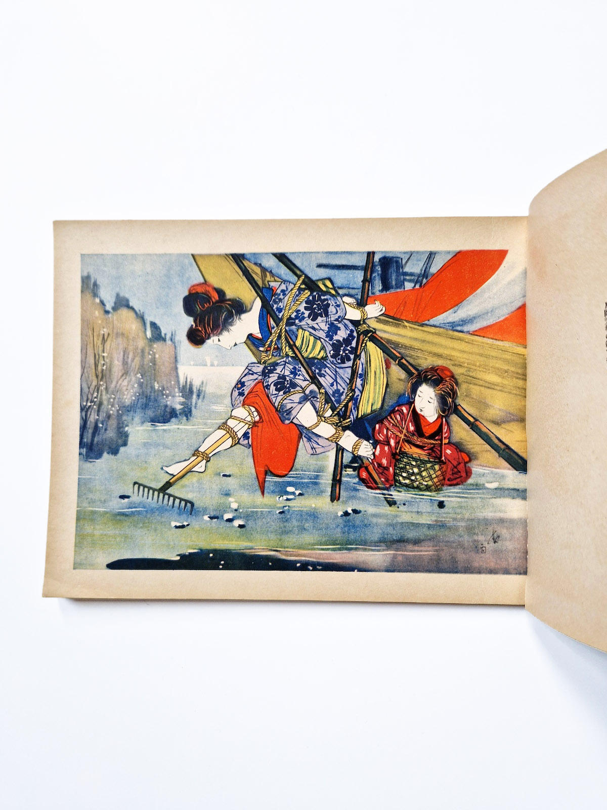 12 months of punishment Itō Seiu def 5 12 months of punishment Itō Seiu def 5