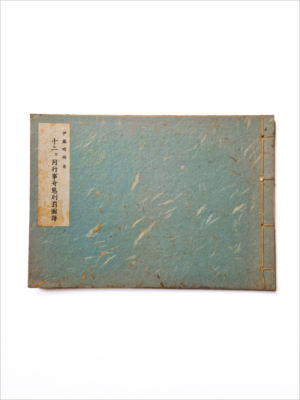 12 months punishement cover site 2