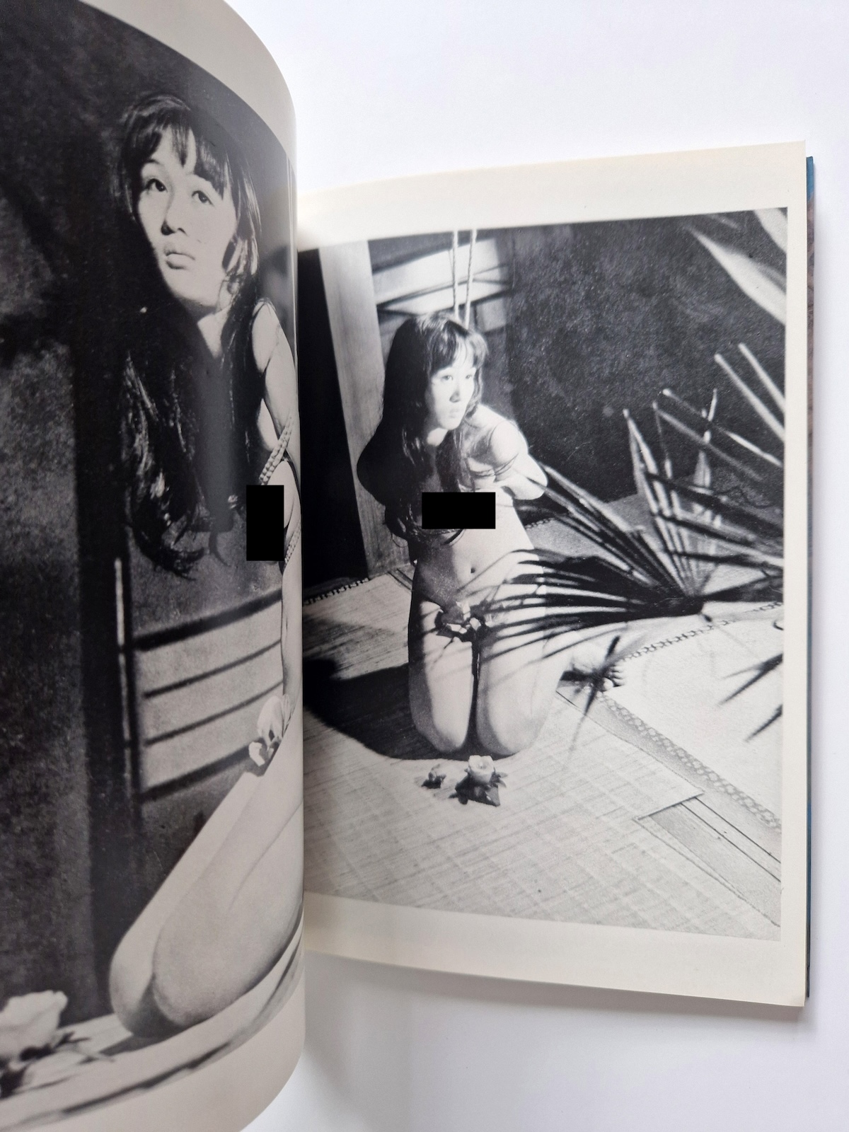 Bondage photo collection Forbidden extasy 1971 Ran Akiyoshi 5