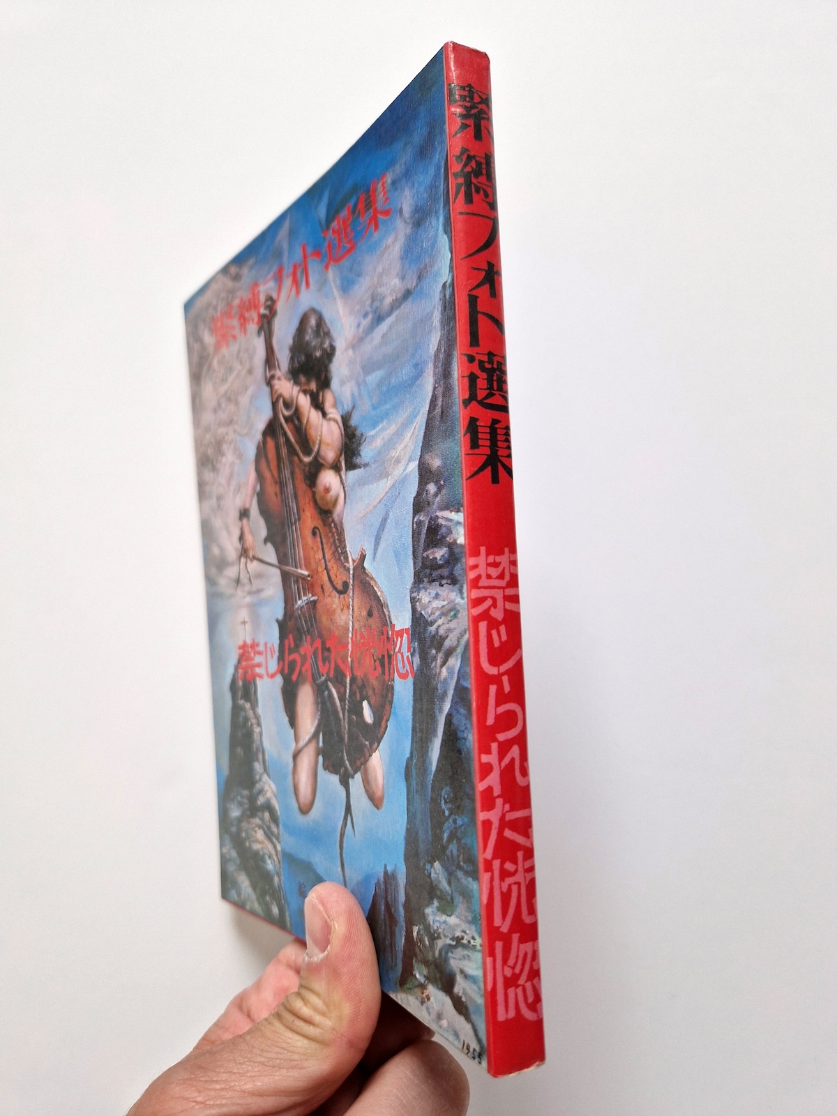 Bondage photo collection Forbidden extasy 1971 Ran Akiyoshi bind