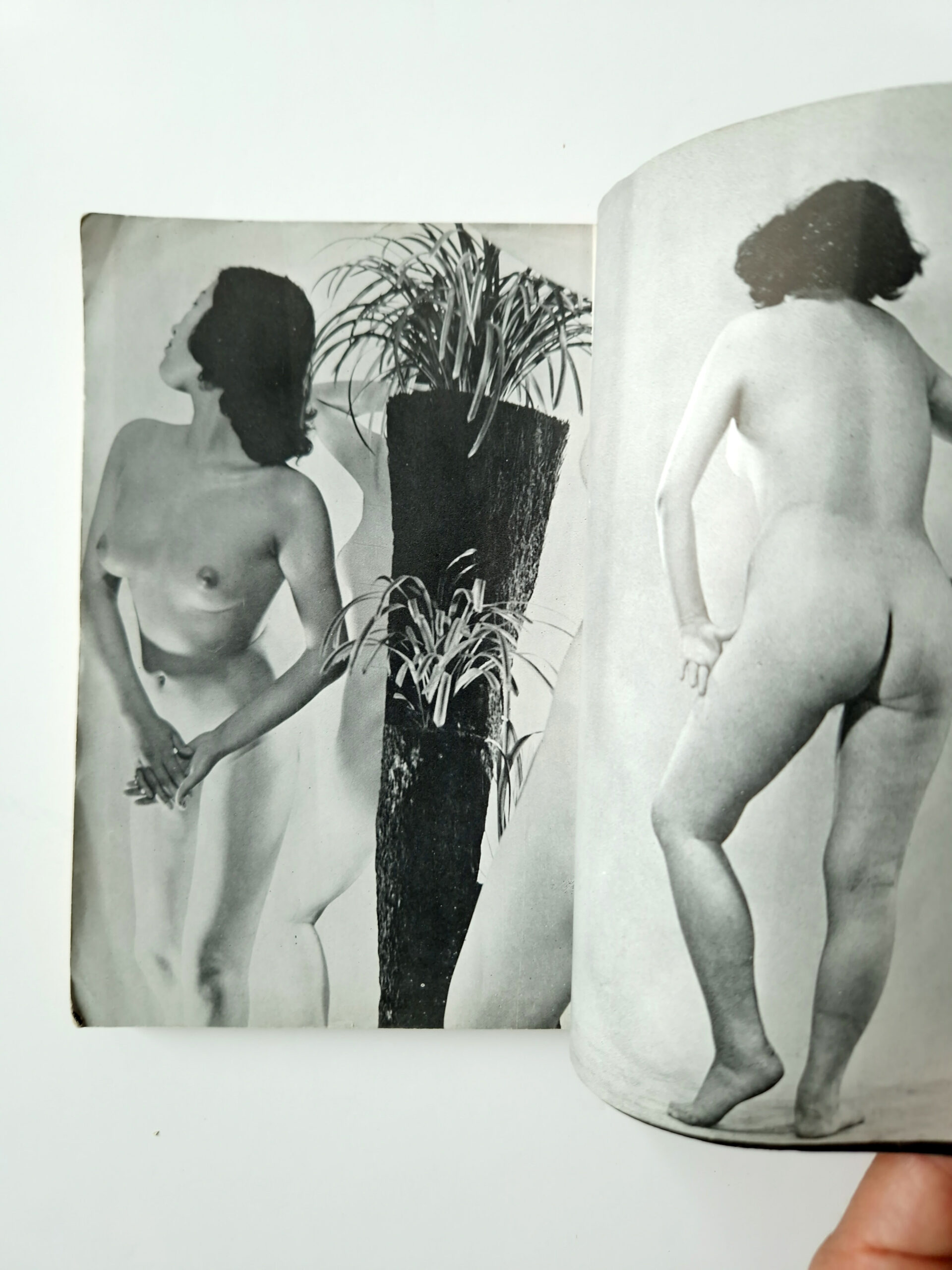 Fuzoku Kitan 1954 08 Sold5