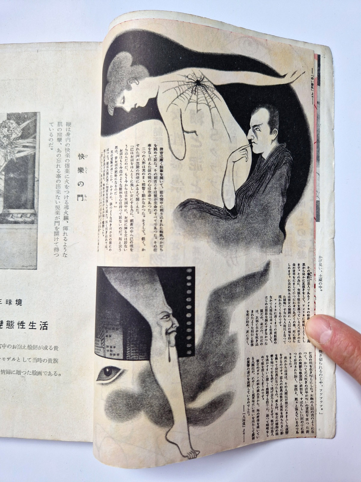 Kitan club 1952 12 4