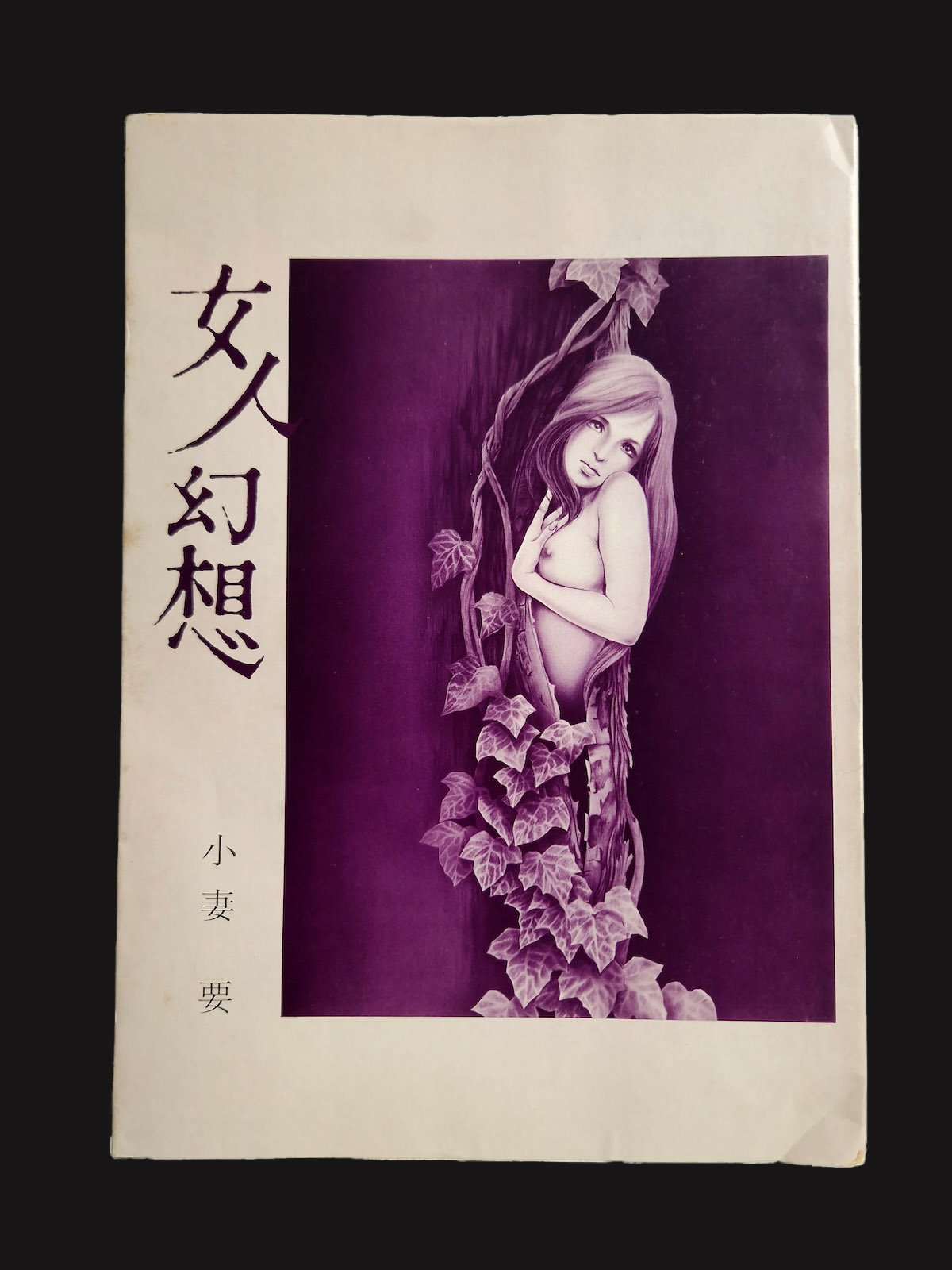 Ladies fantasy Kaname OZUMA 16 book cover 2 Ladies fantasy Kaname OZUMA 16 book cover 2