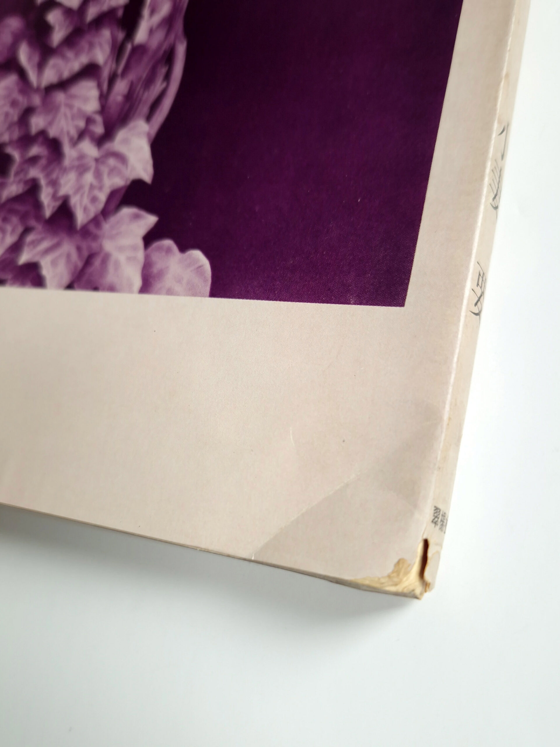 Ladies fantasy Kaname OZUMA corner Ladies fantasy Kaname OZUMA corner