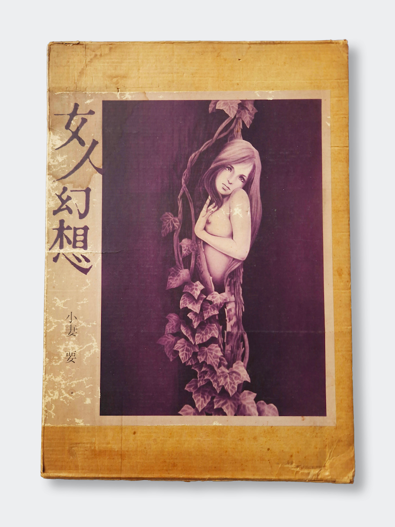 Ladies fantasy Kaname OZUMA slipcase framed Ladies fantasy Kaname OZUMA slipcase framed