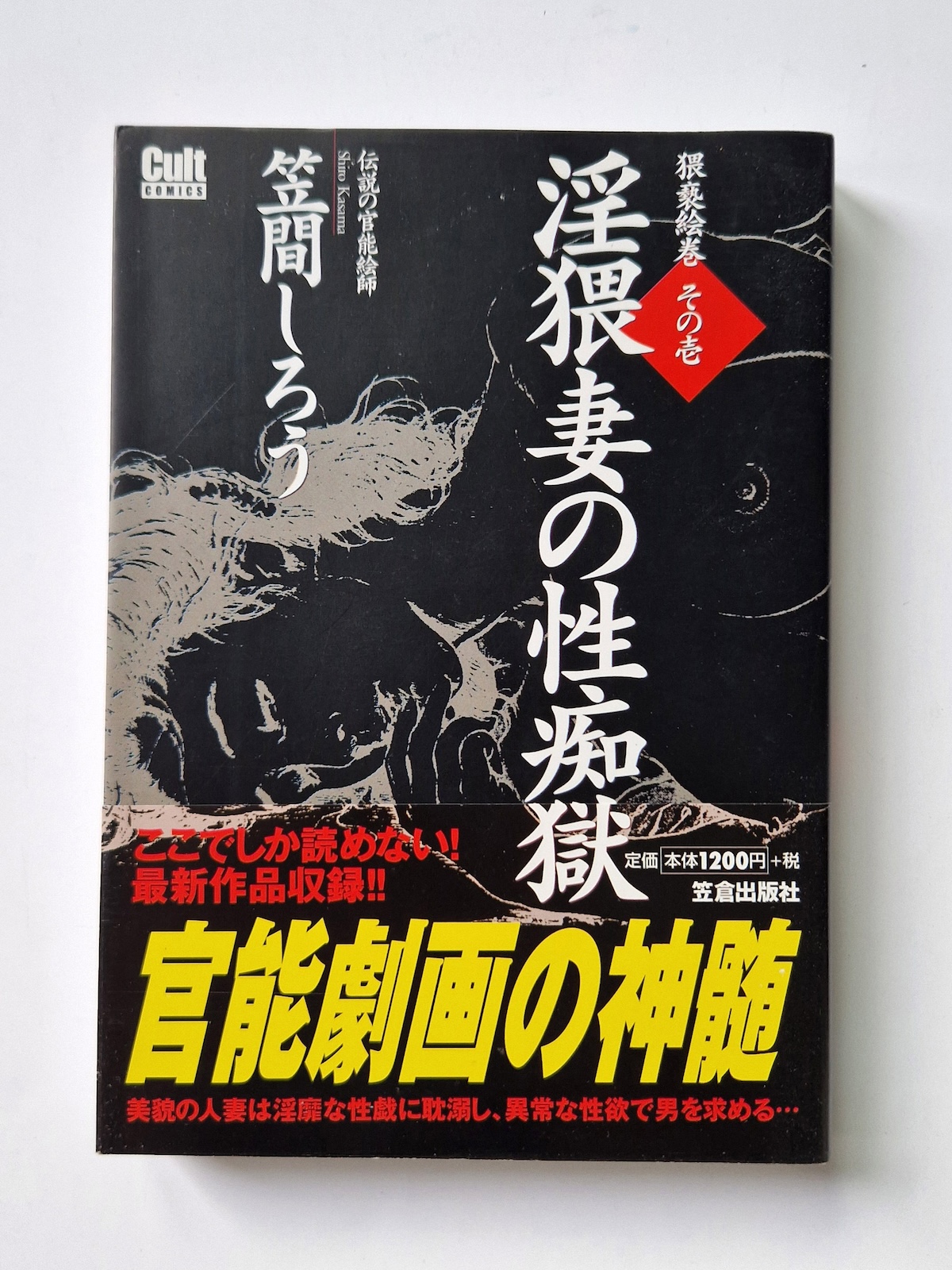 Obscene Wife’s Sex Prison Shiro Kasama cover framed