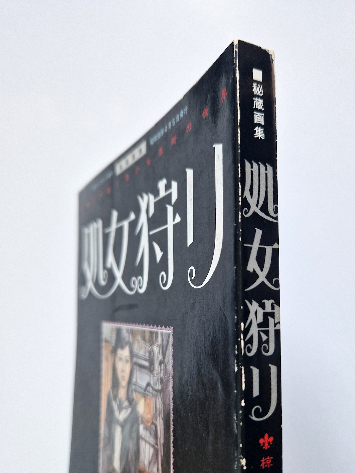 Shyojo gari – Yoji Muku bind framed