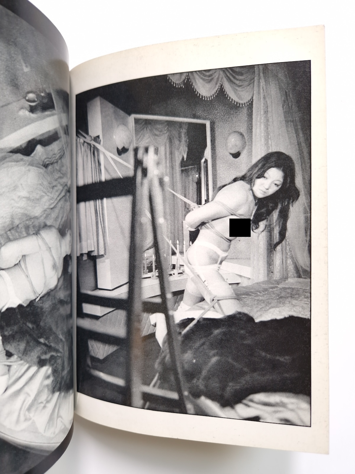 Bondage photo collection Ecstatic Aesthetics 1971 Sogo Tosho Ran Akiyoshi 11