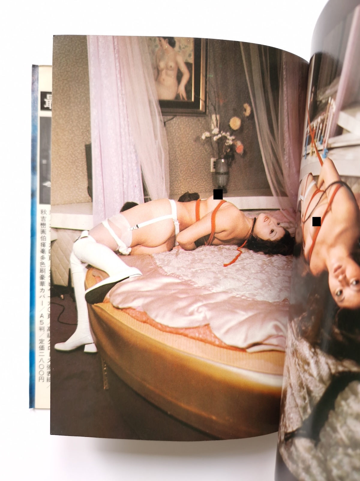 Bondage photo collection Ecstatic Aesthetics 1971 Sogo Tosho Ran Akiyoshi 13