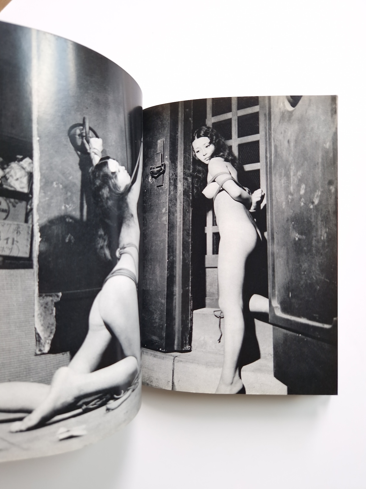 Bondage photo collection Ecstatic Aesthetics 1971 Sogo Tosho Ran Akiyoshi 17