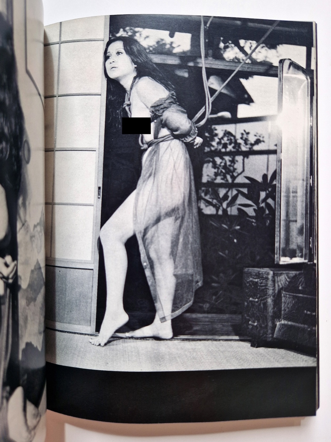 Bondage photo collection Eros Feast 1971 Ran Akiyoshi 11