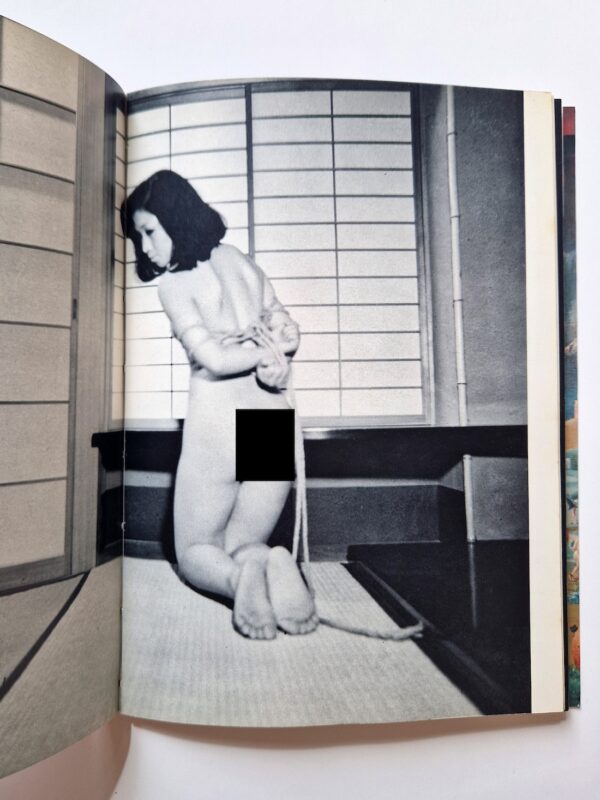 Bondage photo collection Eros Feast 1971 Ran Akiyoshi 8