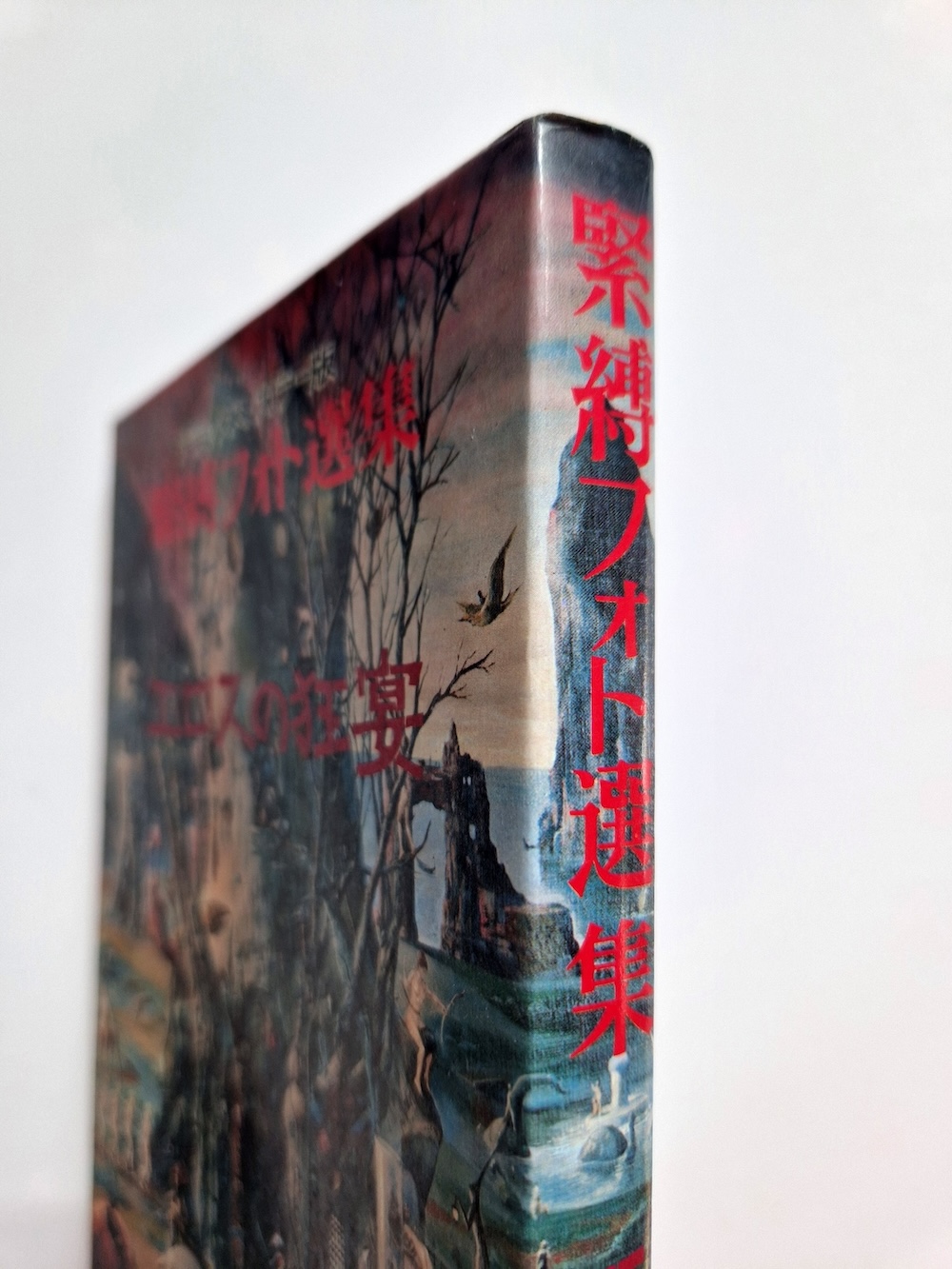 Bondage photo collection Eros Feast 1971 Ran Akiyoshi bind