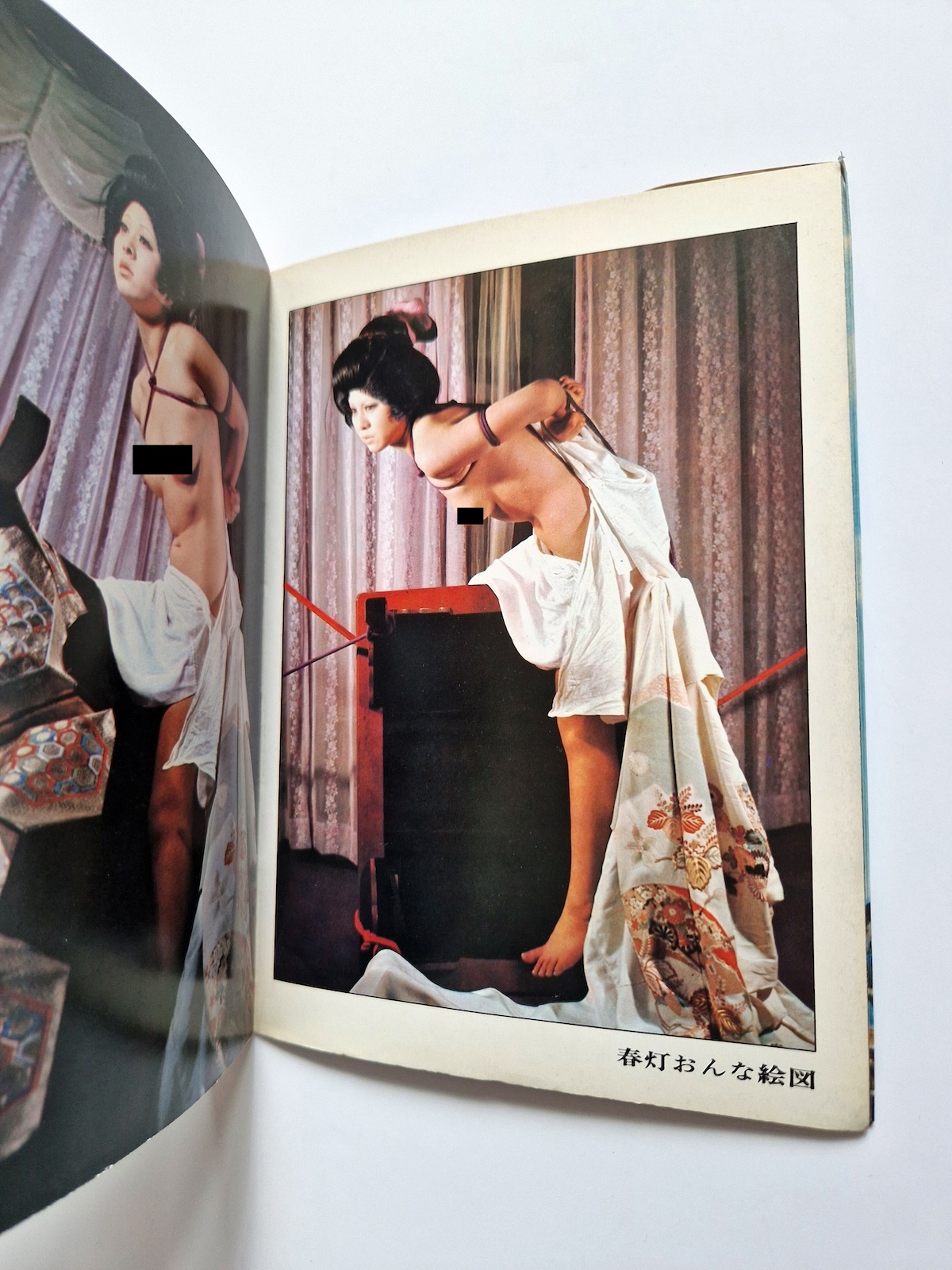 Bondage photo collection Rose Saint Avril 1971 Sogo Tosho A5 Ran Akiyoshi 3