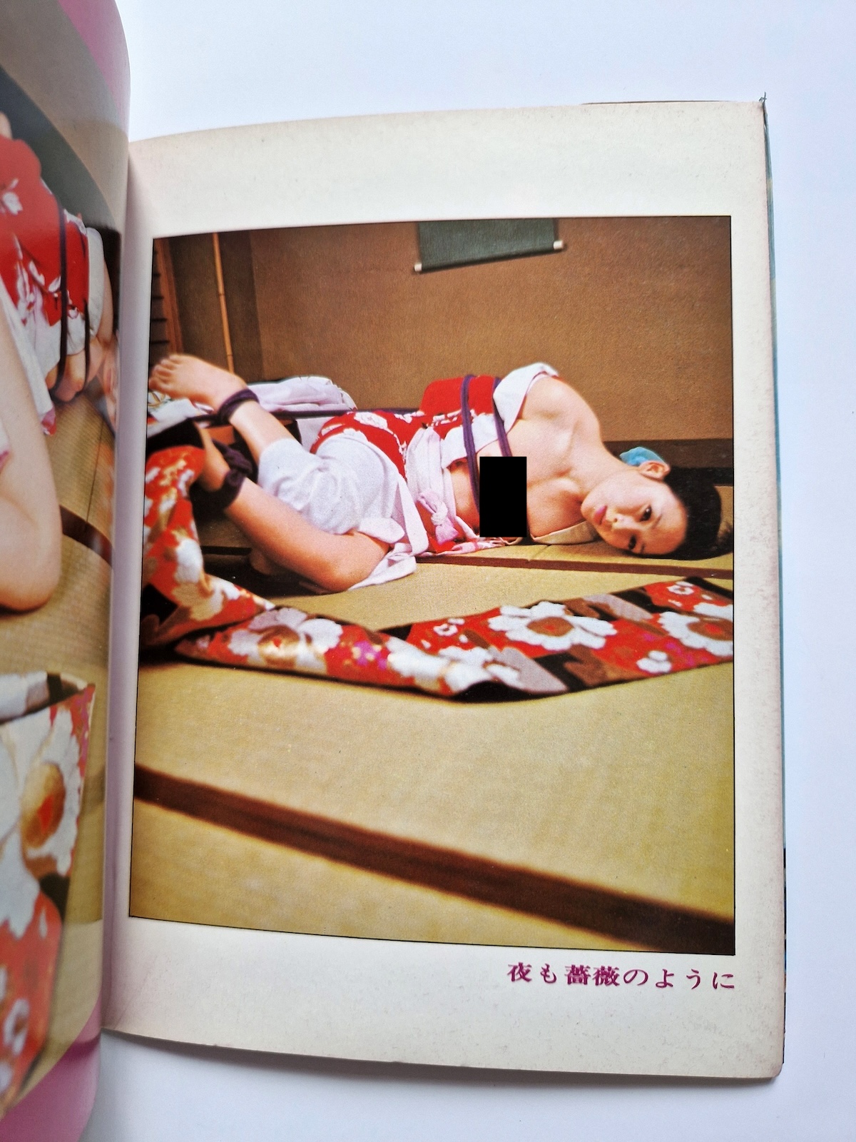 Bondage photo collection Rose Saint Avril 1971 Sogo Tosho A5 Ran Akiyoshi 4