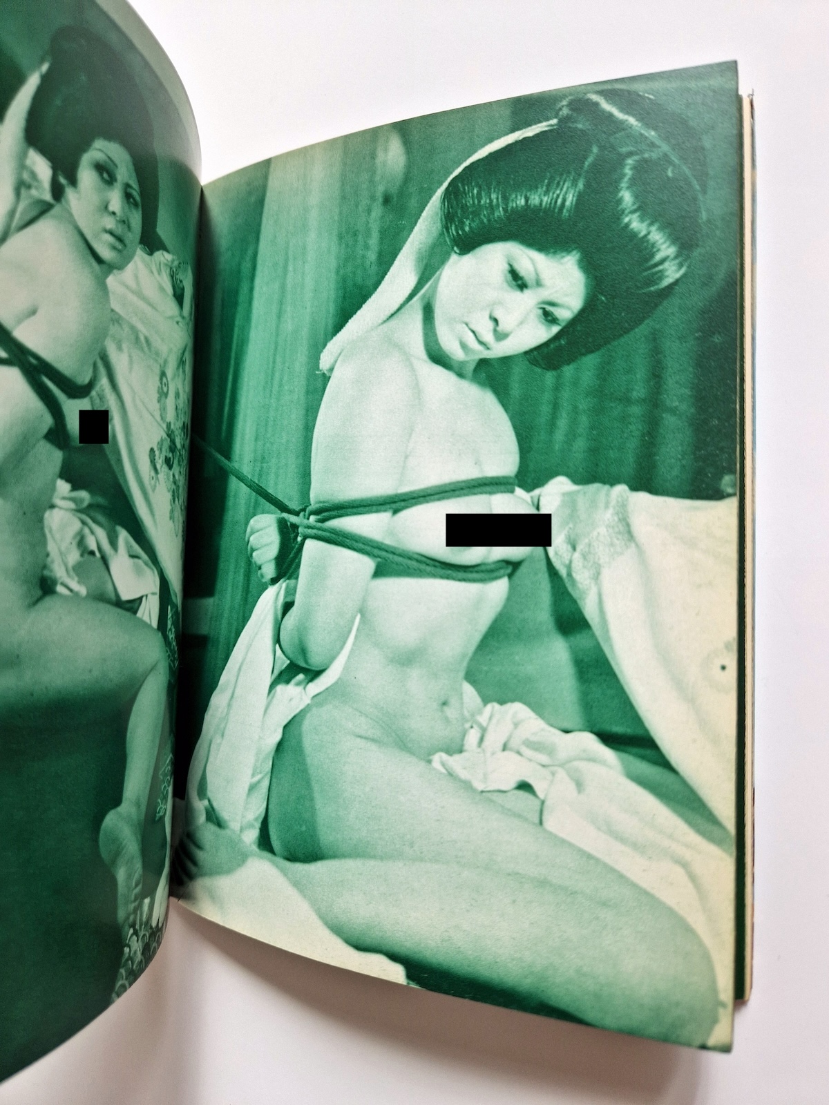 Bondage photo collection Rose Saint Avril 1971 Sogo Tosho A5 Ran Akiyoshi 6