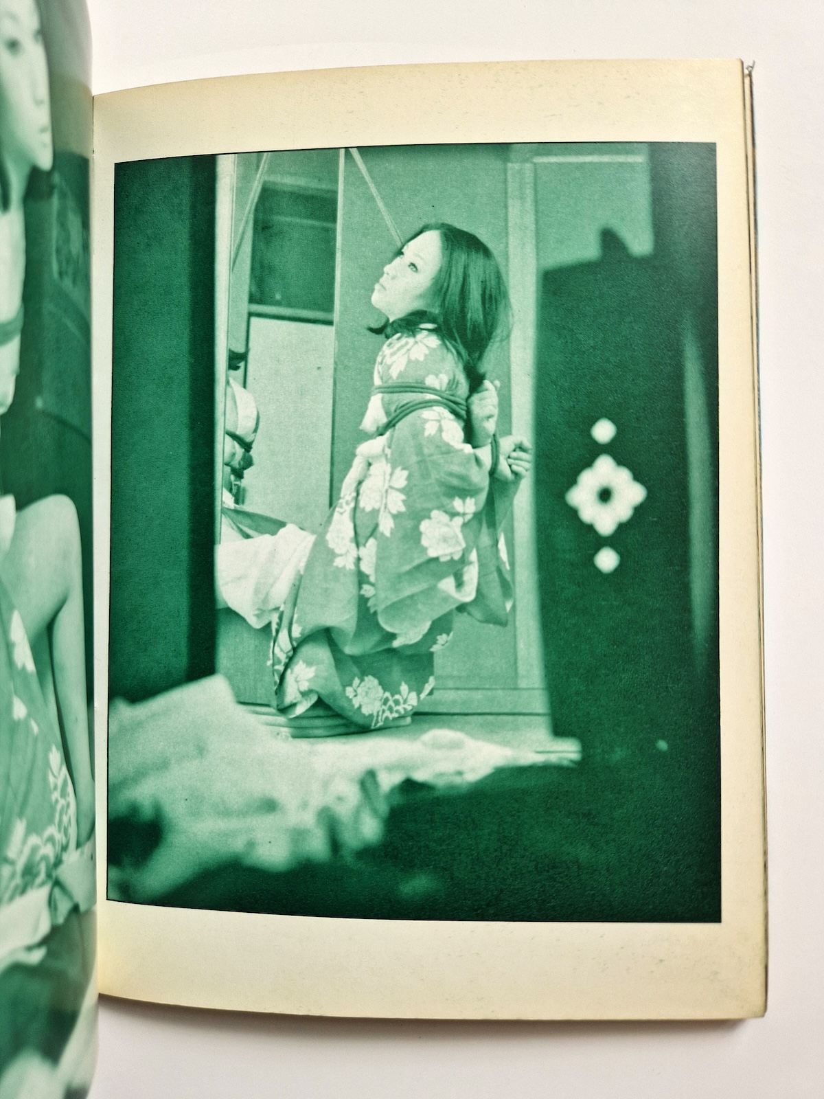 Bondage photo collection Rose Saint Avril 1971 Sogo Tosho A5 Ran Akiyoshi 8