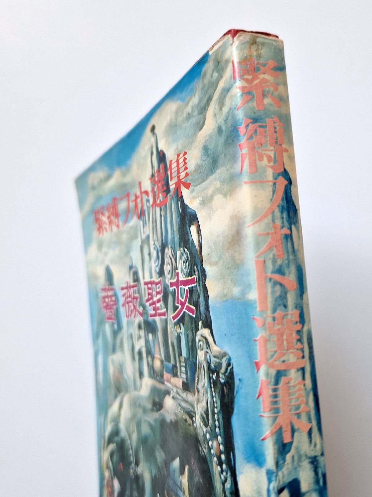 Bondage photo collection Rose Saint Avril 1971 Sogo Tosho A5 Ran Akiyoshi bind