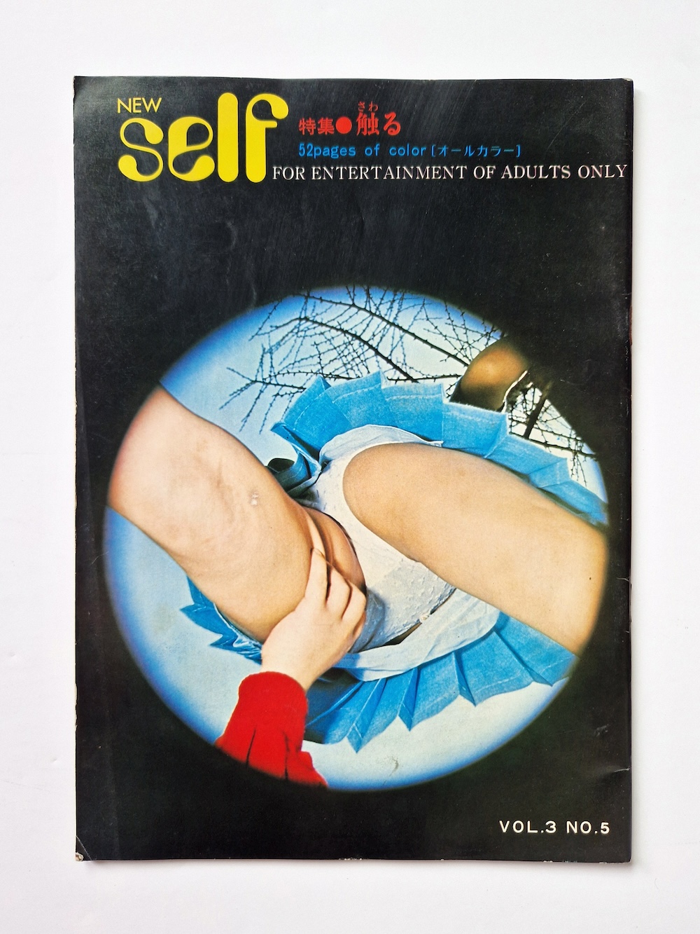 New Self Vol.3 N°5 cover site