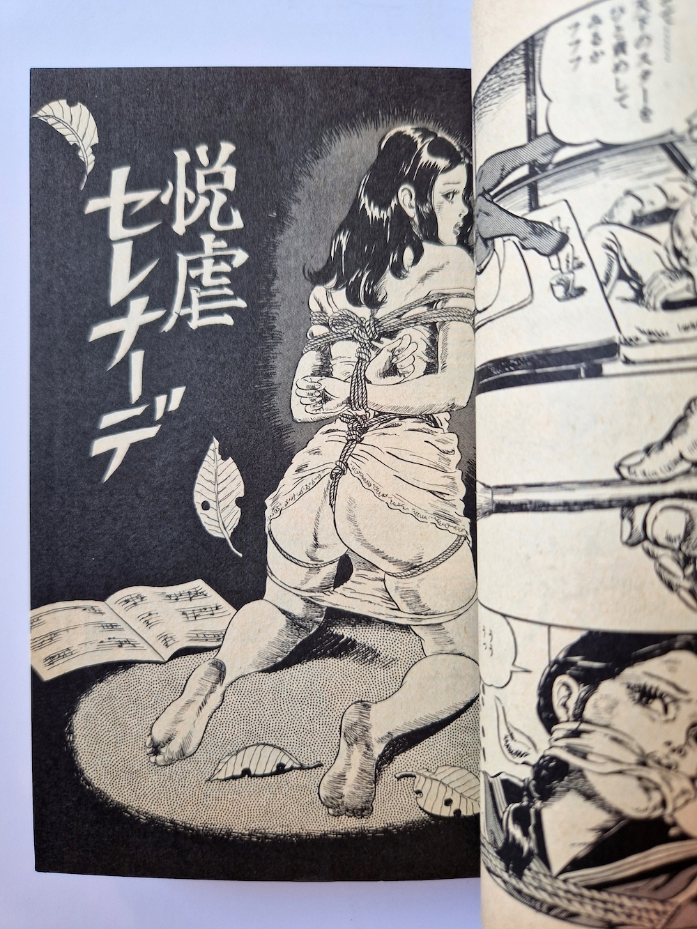 Yoji Muku Shameful Rope Girl 11