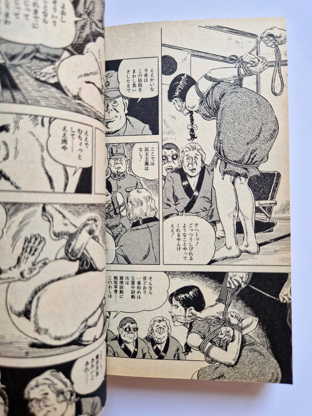 Yoji Muku Shameful Rope Girl 15