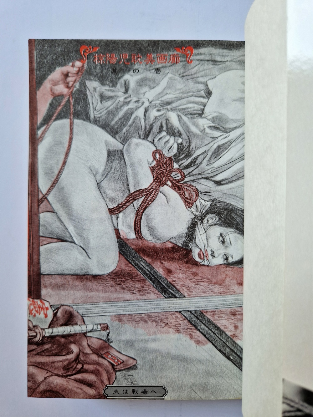 Yoji Muku Shameful Rope Girl 5