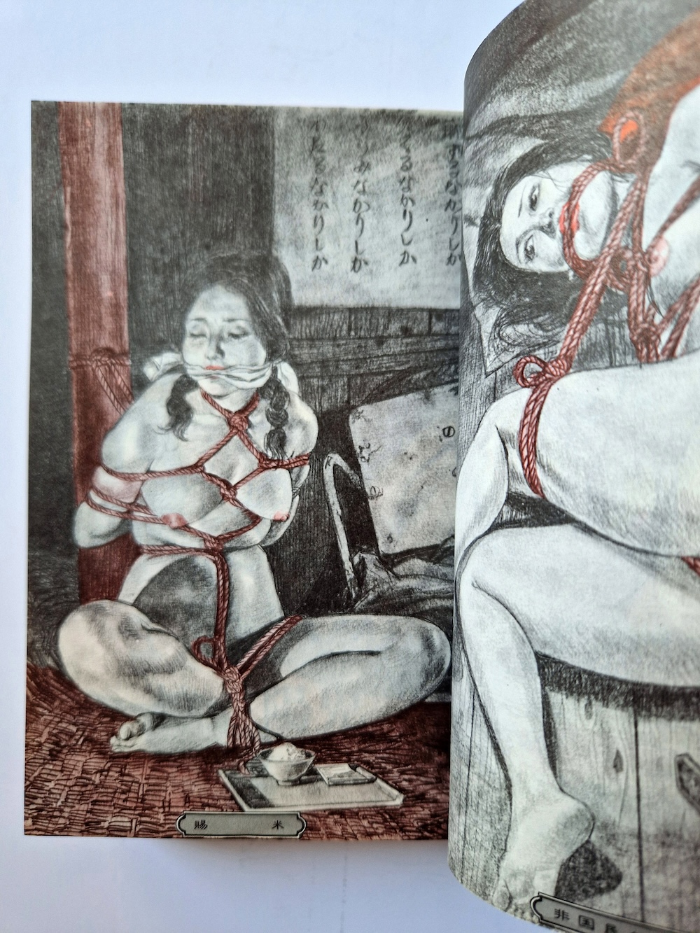 Yoji Muku Shameful Rope Girl 6