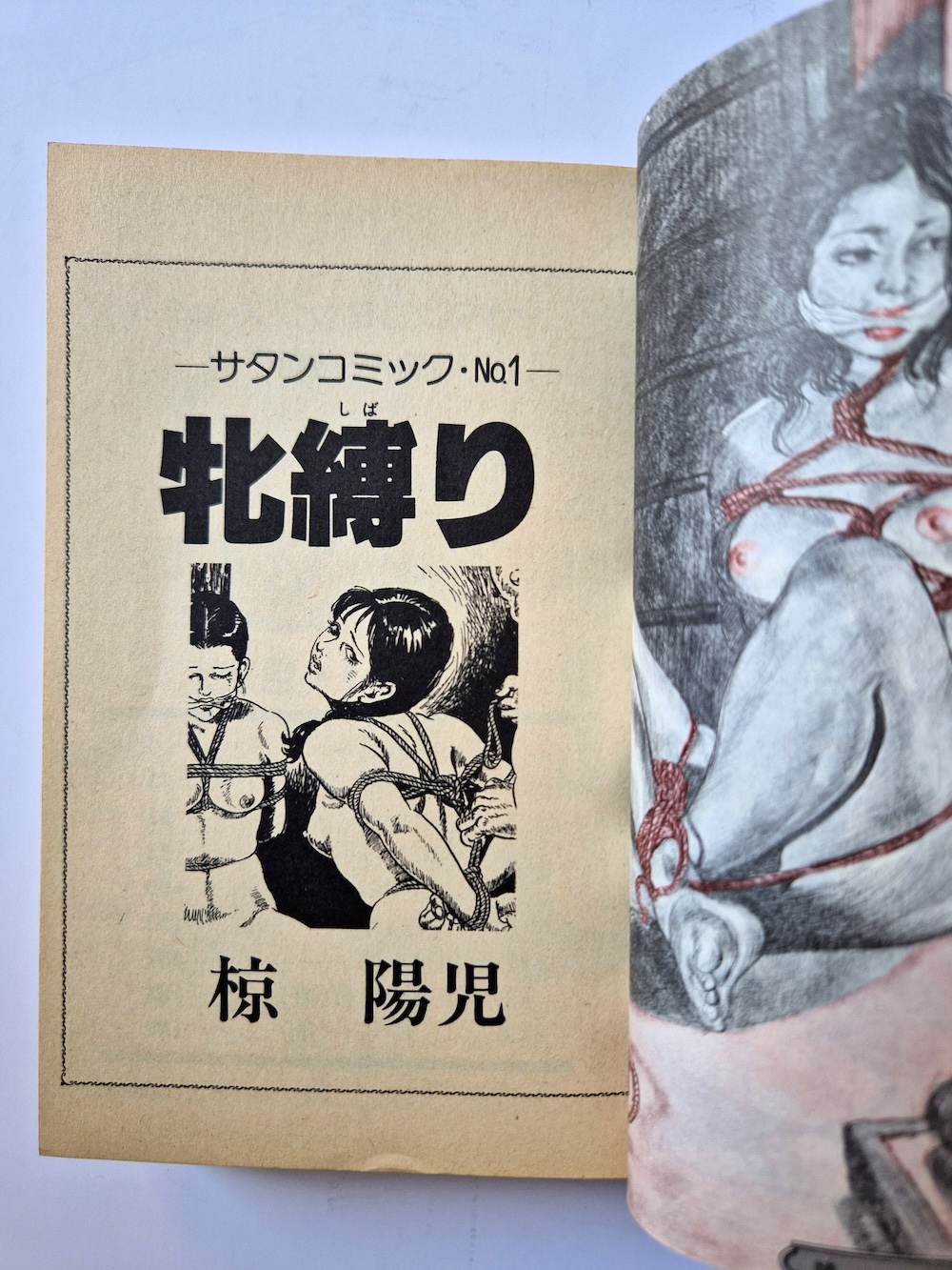 Yoji Muku Shameful Rope Girl 7