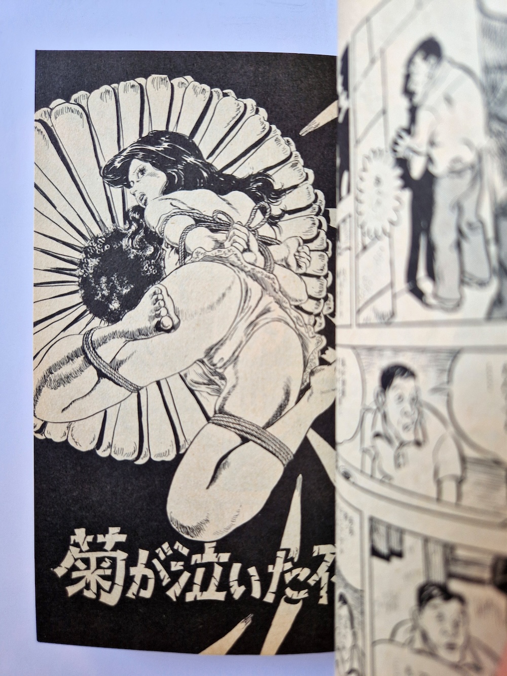 Yoji Muku Shameful Rope Girl 9