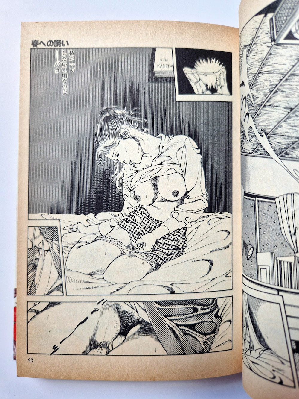 Dangerous fever Rui Hachu 10 Dangerous fever Rui Hachu 10