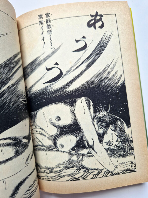 Dangerous fever Rui Hachu 12