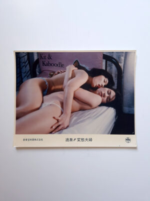 Vintage Pinku Eiga Still Photo Set 8