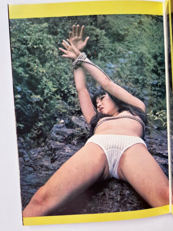 Fuzoku Kitan Kinbaku Photo No.7 – Oniroku Dan10