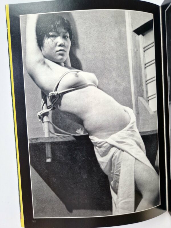 Fuzoku Kitan Kinbaku Photo No.7 – Oniroku Dan9