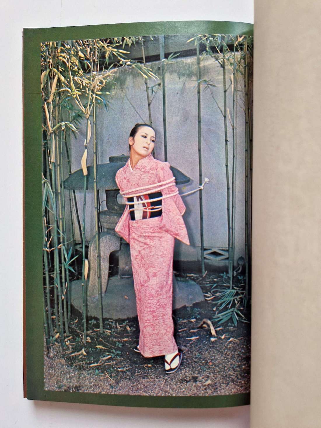 Hana to Hebi Dan Oniroku December 1970 152025 scaled