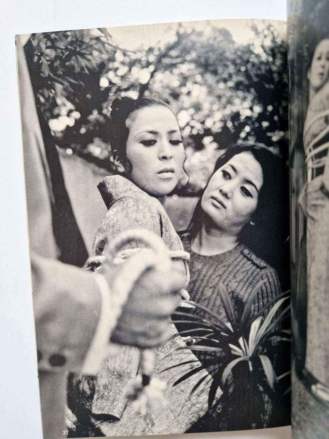 Hana to Hebi Dan Oniroku December 1970 152053 scaled