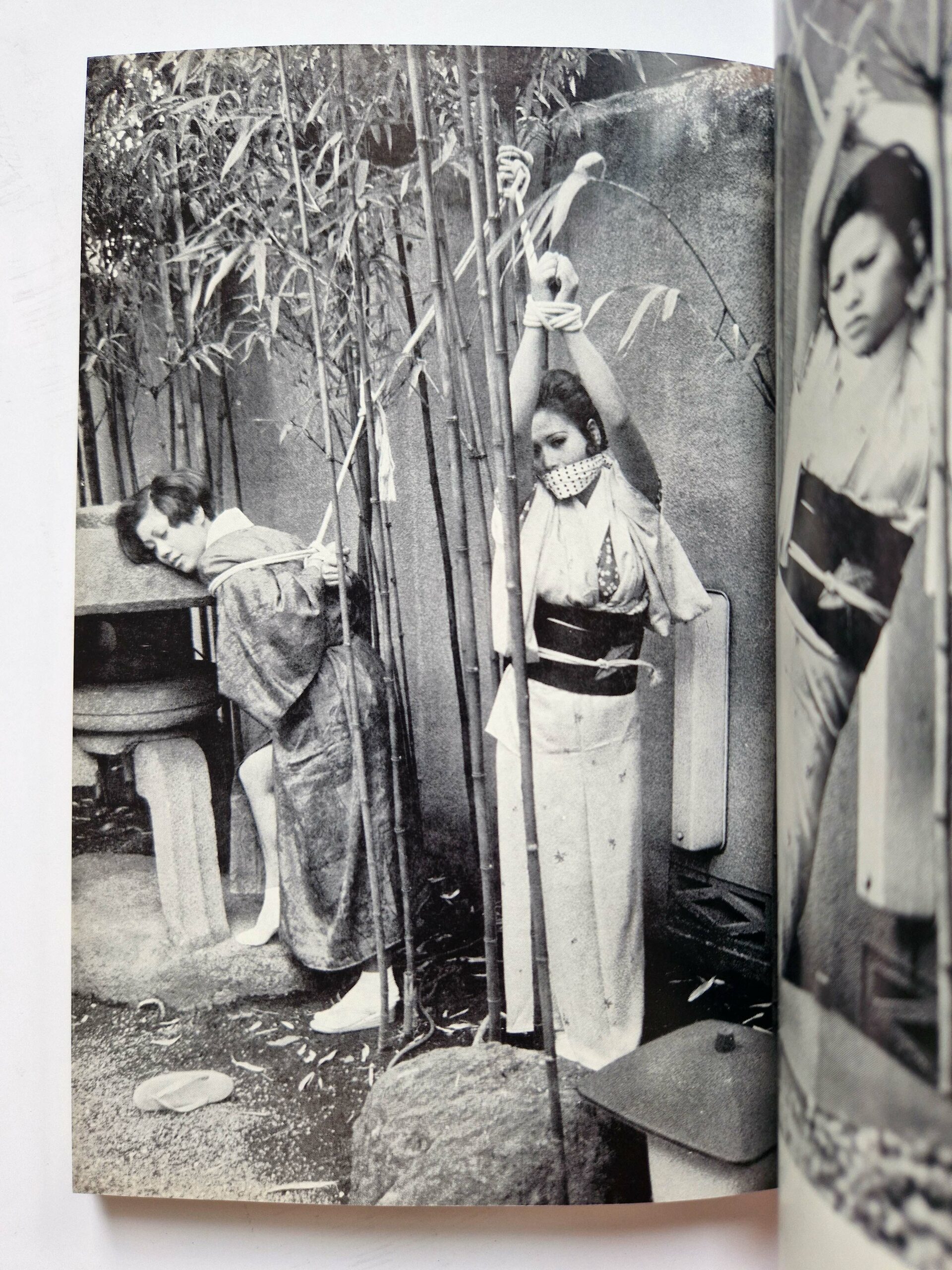 Kinbaku Photo Demon series vol.3 Oniroku Dan 10