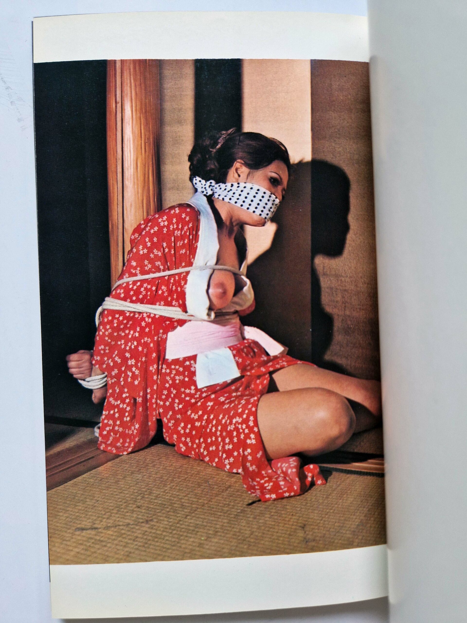 Kinbaku Photo Demon series vol.3 Oniroku Dan 8