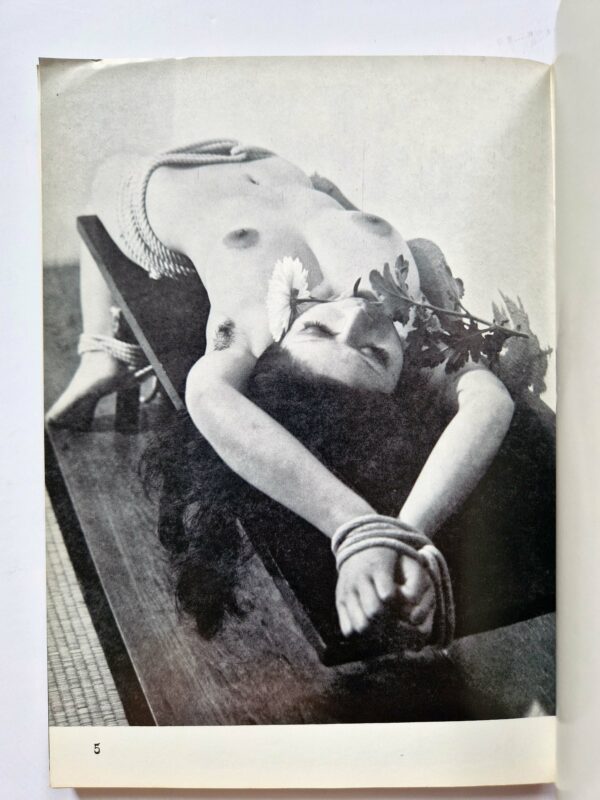 Kinbaku Photo Demon series vol.5 Oniroku Dan 3