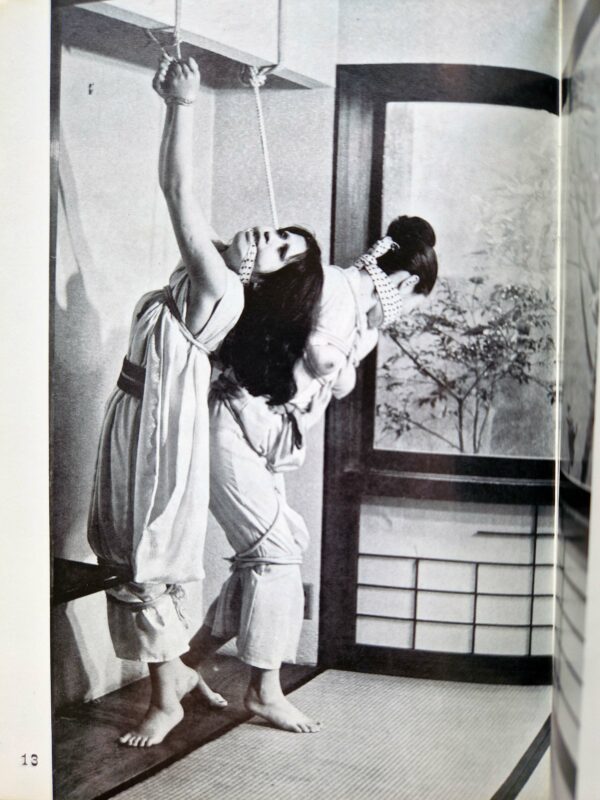 Kinbaku Photo Demon series vol.5 Oniroku Dan 4